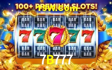 7B777 - Support